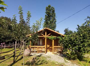 Фотографии Шале Tinyhouse Genacvale г. Мартвили (Грузия) №4 Фото Шале Tinyhouse Genacvale г. Мартвили 4
