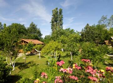 Фотографии Шале Tinyhouse Genacvale г. Мартвили (Грузия) №5 Фото Шале Tinyhouse Genacvale г. Мартвили 5