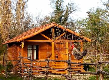 Фотографии Шале Tinyhouse Genacvale г. Мартвили (Грузия) №1 Фото Шале Tinyhouse Genacvale г. Мартвили 1