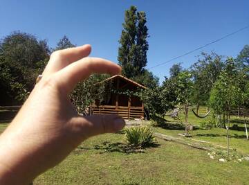 Фотографии Шале Tinyhouse Genacvale г. Мартвили (Грузия) №3 Фото Шале Tinyhouse Genacvale г. Мартвили 3