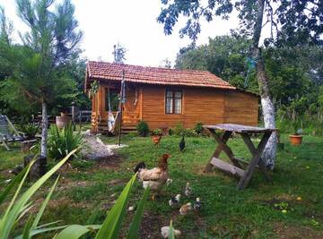 Фото номера Шале Шале Tinyhouse Genacvale г. Мартвили 78