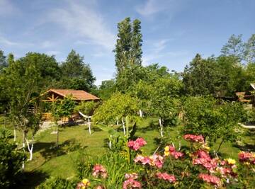 Фото номера Шале Шале Tinyhouse Genacvale г. Мартвили 53