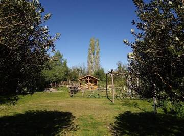 Фото номера Шале Шале Tinyhouse Genacvale г. Мартвили 57