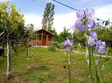 Фото номера Шале Шале Tinyhouse Genacvale г. Мартвили 54