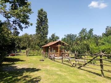 Фото номера Шале Шале Tinyhouse Genacvale г. Мартвили 82