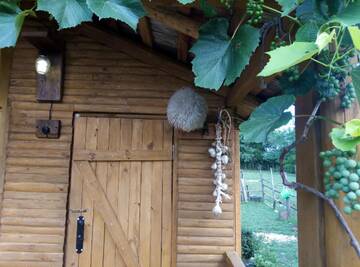 Фото номера Шале Шале Tinyhouse Genacvale г. Мартвили 7