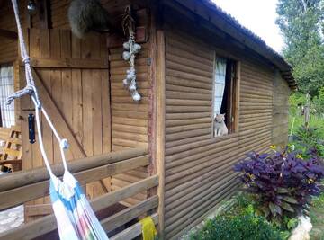 Фото номера Шале Шале Tinyhouse Genacvale г. Мартвили 39