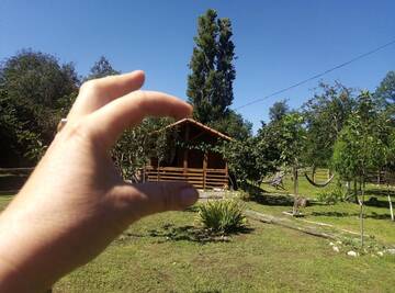 Фото номера Шале Шале Tinyhouse Genacvale г. Мартвили 99